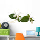 honeysuckle flower Wall Decal