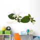 honeysuckle flower Wall Decal