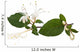 honeysuckle flower Wall Decal