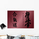 Aikido kyokushinkai Wall Mural