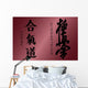 Aikido kyokushinkai Wall Mural