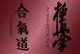 Aikido kyokushinkai Wall Mural