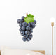 purple grapes Wall Decal