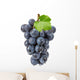 purple grapes Wall Decal
