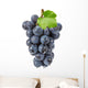purple grapes Wall Decal