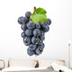 purple grapes Wall Decal