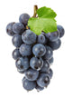 purple grapes Wall Decal