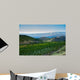 Vineyard Foot Mountain