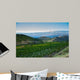 Vineyard Foot Mountain
