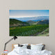 Vineyard Foot Mountain