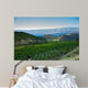 Vineyard Foot Mountain