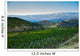 Vineyard Foot Mountain