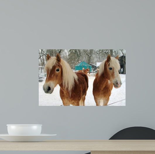 Winter Horses Wall Mural