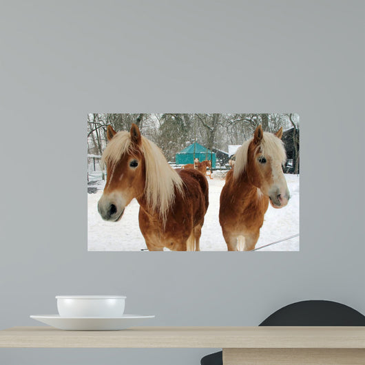 Winter Horses Wall Mural
