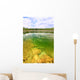 Everglades National Park USA Wall Mural