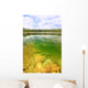 Everglades National Park USA Wall Mural