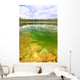 Everglades National Park USA Wall Mural
