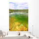 Everglades National Park USA Wall Mural