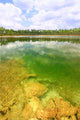 Everglades National Park USA Wall Mural