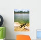 Florida Everglades American Alligator Wall Mural