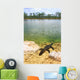 Florida Everglades American Alligator Wall Mural