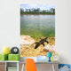 Florida Everglades American Alligator Wall Mural