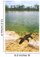 Florida Everglades American Alligator Wall Mural