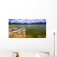 Everglades National Park USA Wall Mural