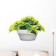 Illustration of Evergreen Plant in Flower Pot Wall Decal
