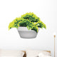 Illustration of Evergreen Plant in Flower Pot Wall Decal