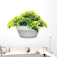 Illustration of Evergreen Plant in Flower Pot Wall Decal