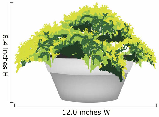 Illustration of Evergreen Plant in Flower Pot Wall Decal