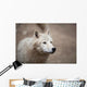 Arctic Wolf Wall Mural
