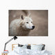 Arctic Wolf Wall Mural
