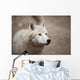 Arctic Wolf Wall Mural