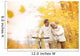 Senior couple with bicycle in autumn park Wall Mural