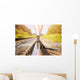 railroad rail feet Wall Mural