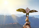 Wedge-tailed Eagle landing on rock cairn on mountain top Wall Mural