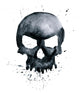 Watercolor skull Wall Decal