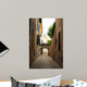 Historic Street Palma