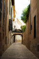 Historic Street Palma