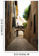 Historic Street Palma