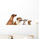 group of dogs  looking up Wall Decal