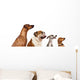 group of dogs  looking up Wall Decal