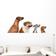 group of dogs  looking up Wall Decal