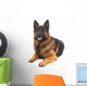 German shepherd Wall Decal