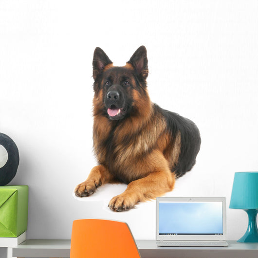 German shepherd Wall Decal