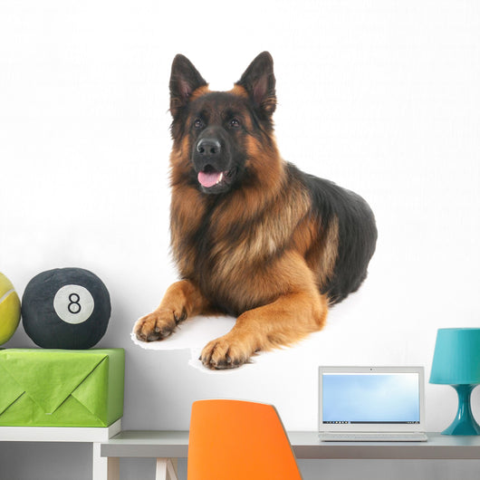 German shepherd Wall Decal