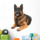 German shepherd Wall Decal