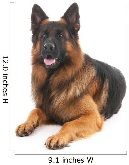 German shepherd Wall Decal